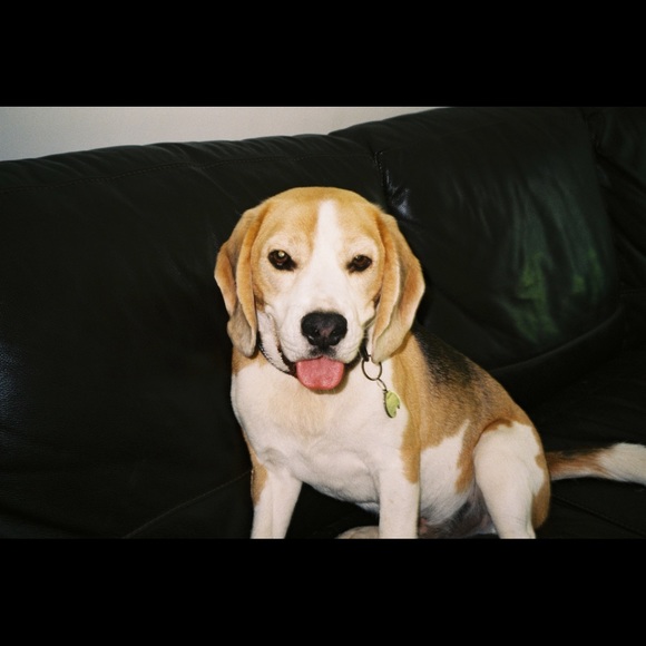 Meet your Posher, Bron - Picture 1 of 1